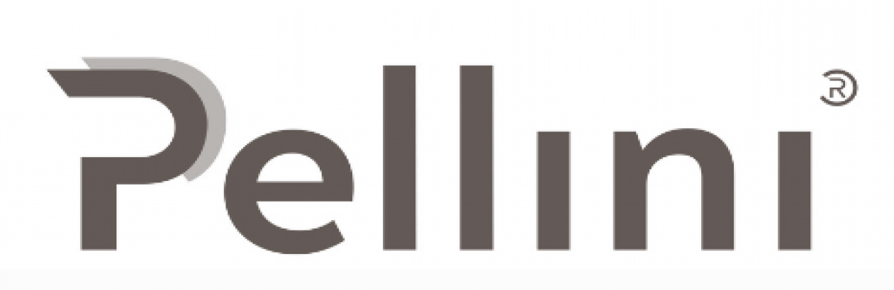 26. PELLINI SpA